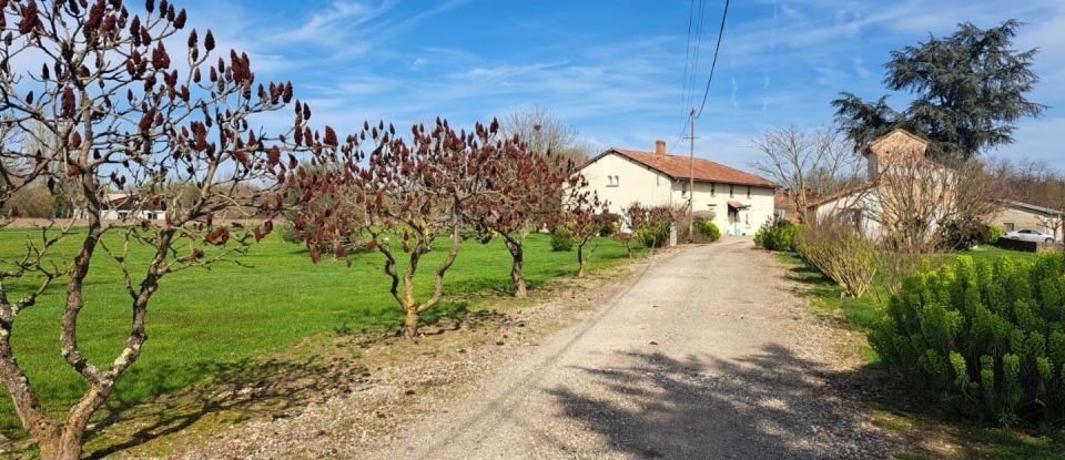 Maison 7 pièces de 366 m² à Montauban (82000)