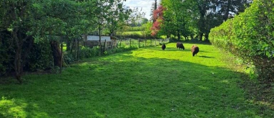 Maison de campagne 5 pièces de 171 m² à Auvillers-les-Forges (08260)