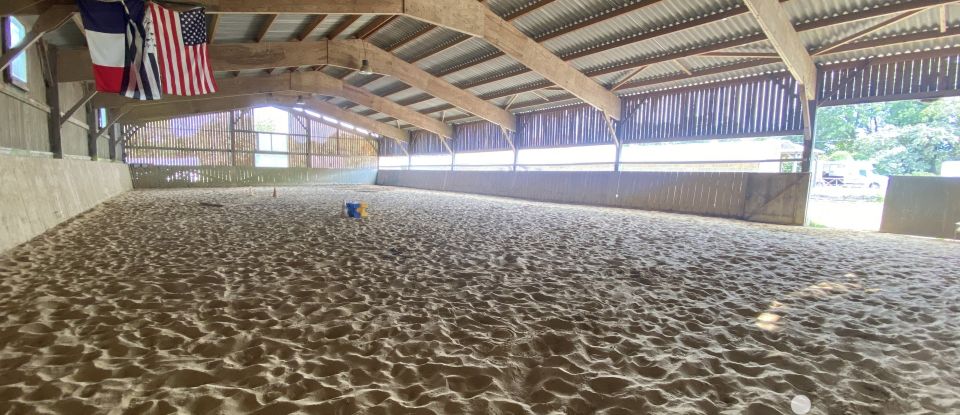 Ferme 9 pièces de 210 m² à Sarzeau (56370)