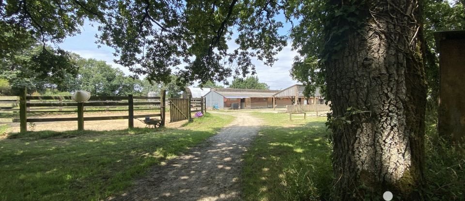 Ferme 9 pièces de 210 m² à Sarzeau (56370)