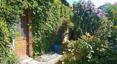 Country house 3 rooms of 103 m² in Châtillon-sur-Loire (45360)