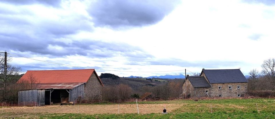 Maison de campagne 7 pièces de 184 m² à Charensat (63640)