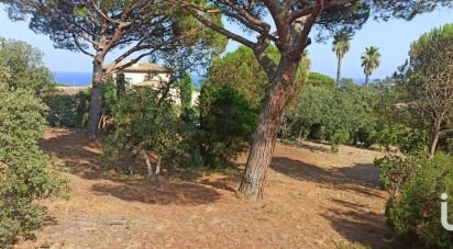 Terrain de 1 629 m² à Sainte-Maxime (83120)