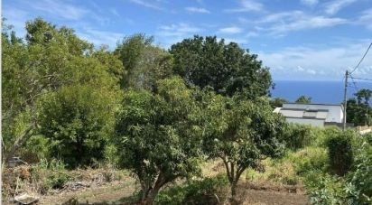 Land of 770 m² in Saint-Pierre (97410)