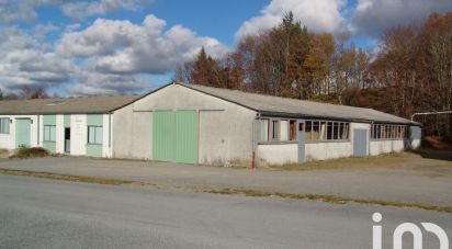 Maison 9 pièces de 1 121 m² à Peyrelevade (19290)