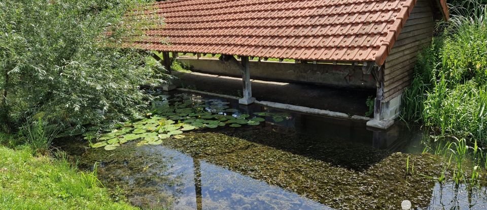 Moulin 10 pièces de 343 m² à Asfeld (08190)