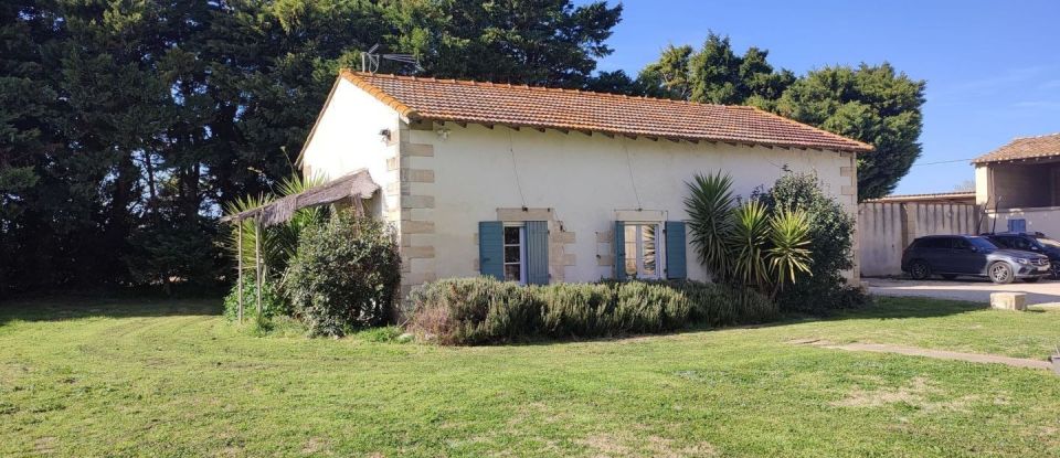 Maison 10 pièces de 450 m² à Beaucaire (30300)