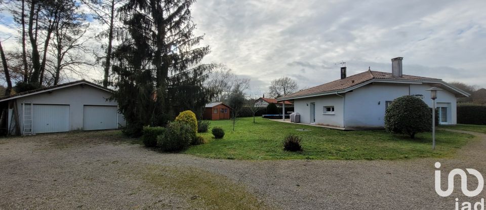 Maison traditionnelle 6 pièces de 147 m² à Saint-Martin-d'Oney (40090)