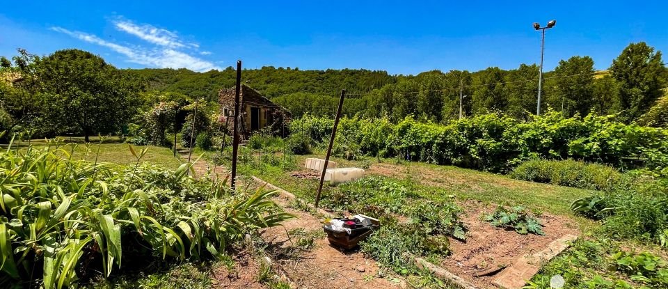 Maison 12 pièces de 200 m² à Saint-Izaire (12480)