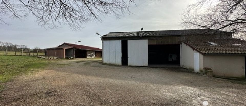 Maison de campagne 5 pièces de 138 m² à Saint-Paul-de-Vern (46400)