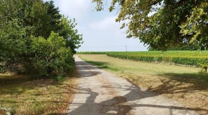 Domaine 5 pièces de 132 m² à Saint-Sernin (47120)