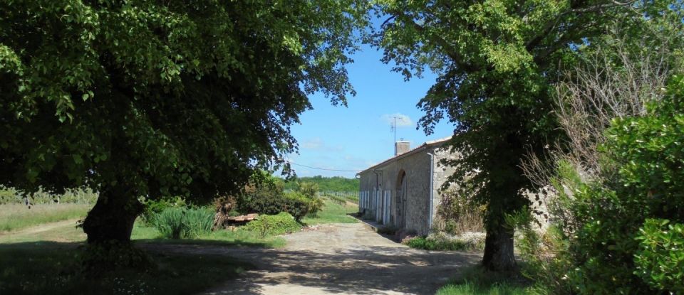 Domaine 5 pièces de 132 m² à Saint-Sernin (47120)