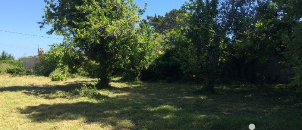 Land of 1,030 m² in Groix (56590)