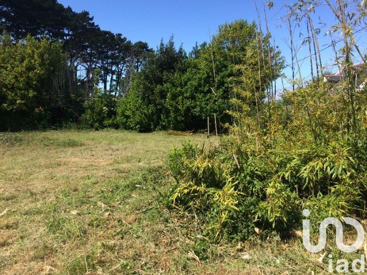 Land of 1,030 m² in Groix (56590)