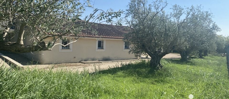 Maison 3 pièces de 70 m² à L'Isle-sur-la-Sorgue (84800)