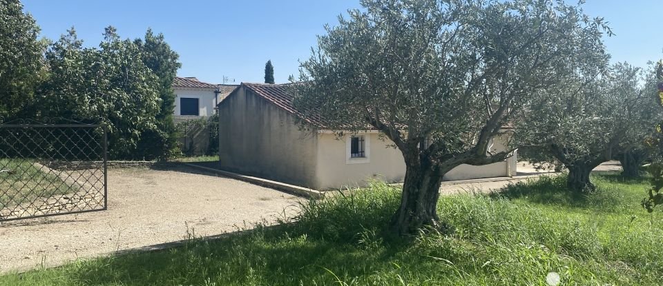 Maison 3 pièces de 70 m² à L'Isle-sur-la-Sorgue (84800)