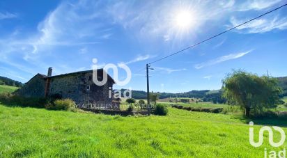 Maison traditionnelle 6 pièces de 120 m² à Vissac-Auteyrac (43300)