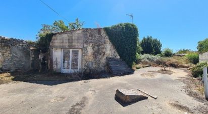 Maison 3 pièces de 53 m² à La Gripperie-Saint-Symphorien (17620)