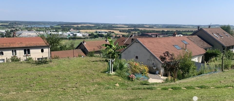 Maison 6 pièces de 135 m² à Langres (52200)