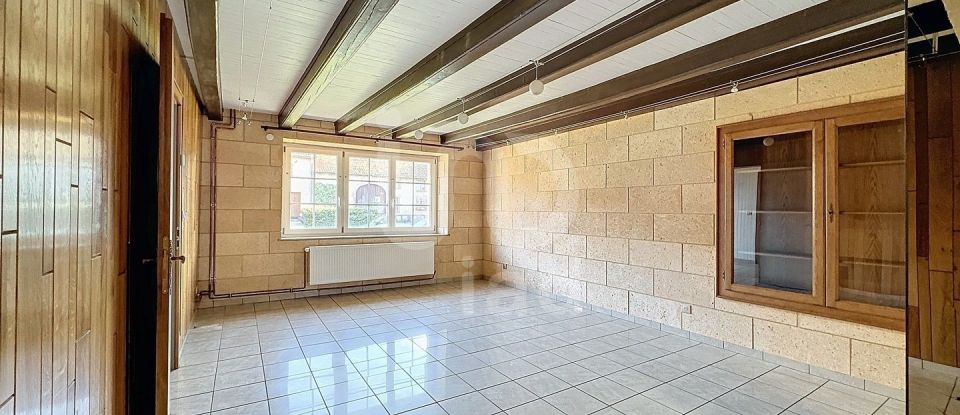 Maison 8 pièces de 261 m² à Loudrefing (57670)