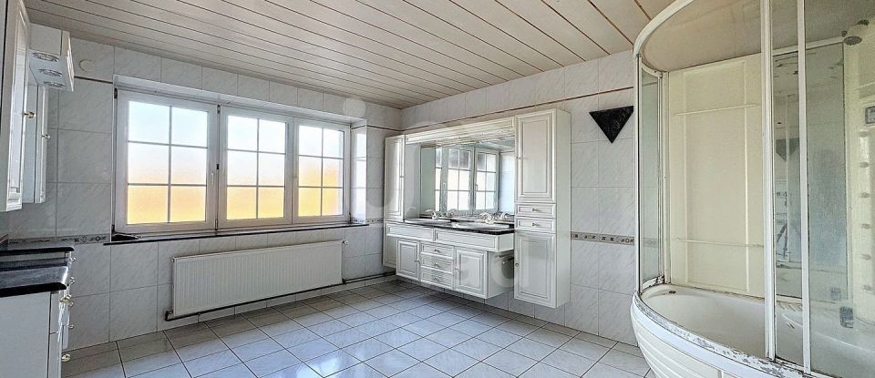 Maison 8 pièces de 261 m² à Loudrefing (57670)