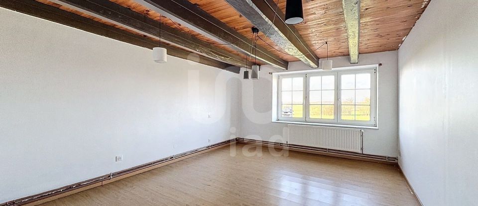 Maison 8 pièces de 261 m² à Loudrefing (57670)