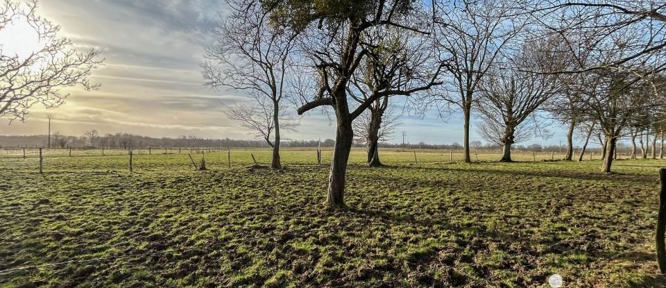 Ferme 6 pièces de 119 m² à Limésy (76570)