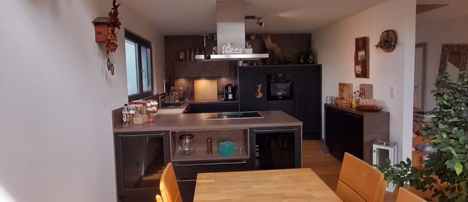 Maison 5 pièces de 154 m² à Volgelsheim (68600)