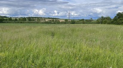 Terrain de 1 200 m² à Saint-Lactencin (36500)