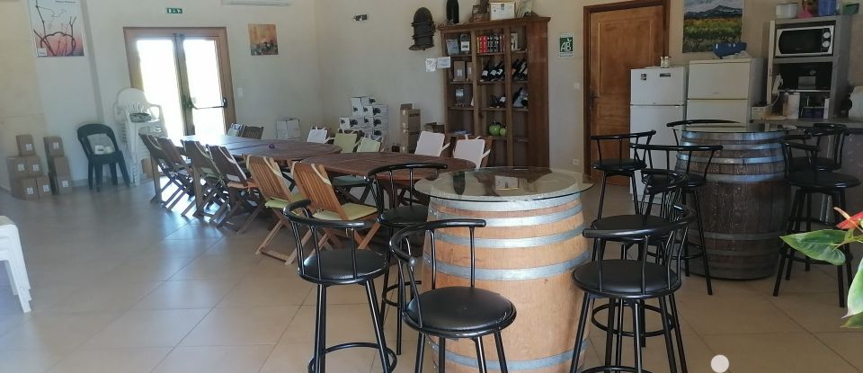 Domaine 28 pièces de 990 m² à Violès (84150)