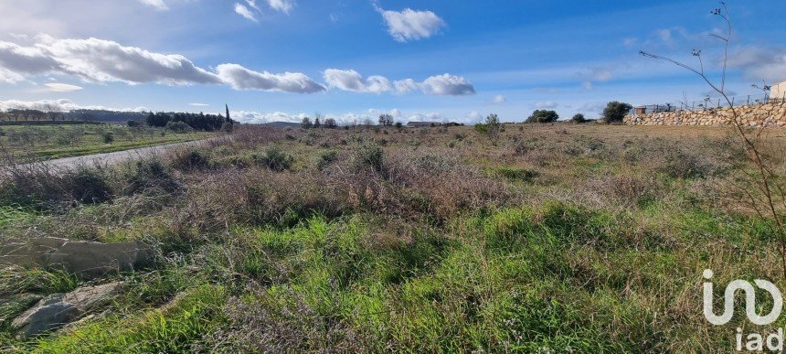 Terrain de 1 546 m² à Bize-Minervois (11120)