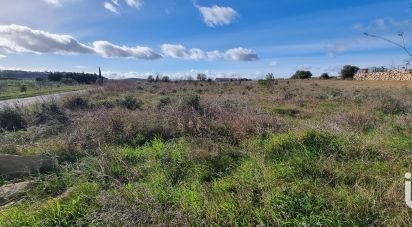 Terrain de 1 546 m² à Bize-Minervois (11120)