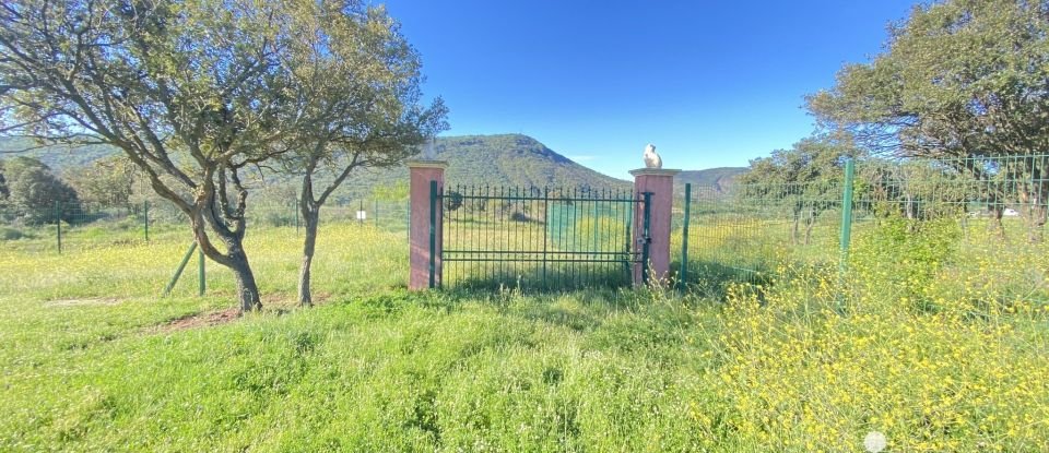 Terrain Loisirs de 40 000 m² à Le Bosc (34700)