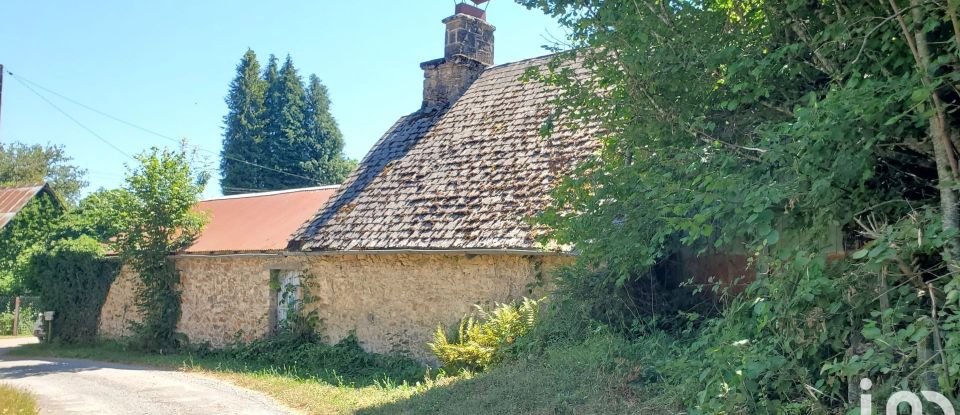 Maison 4 pièces de 80 m² à Lamazière-Basse (19160)