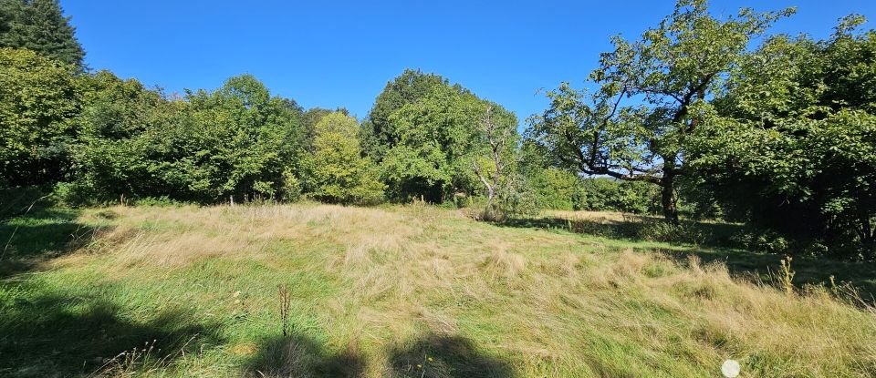 Grange 1 pièce de 200 m² à Sousceyrac-en-Quercy (46190)