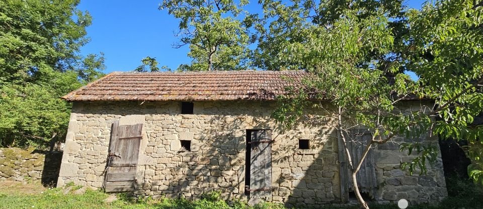 Grange 1 pièce de 200 m² à Sousceyrac-en-Quercy (46190)