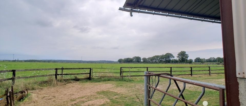 Maison de campagne 6 pièces de 125 m² à Vibraye (72320)