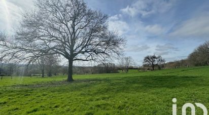 Agricultural land of 42,435 m² in Croisilles (61230)