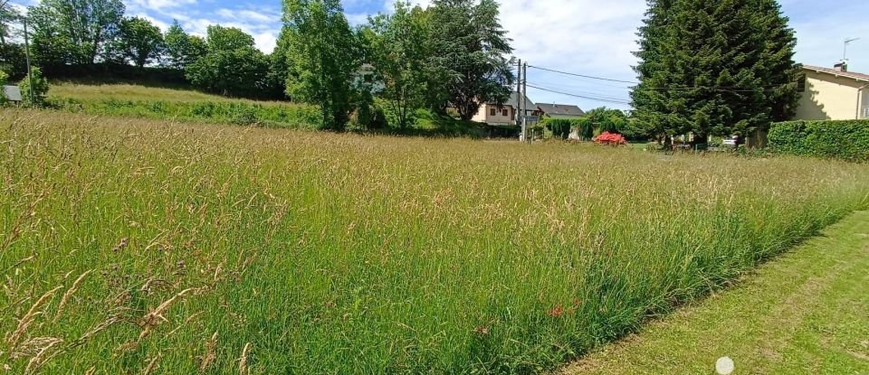 Land of 1,000 m² in Poueyferré (65100)