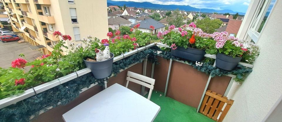 Appartement 2 pièces de 48 m² à Colmar (68000)