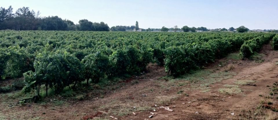 Agricultural land of 42,000 m² in Lunel (34400)