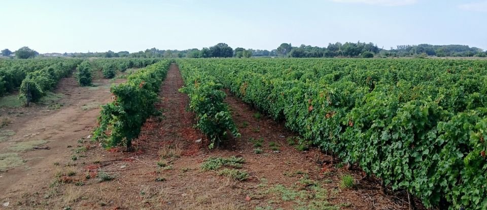 Agricultural land of 42,000 m² in Lunel (34400)