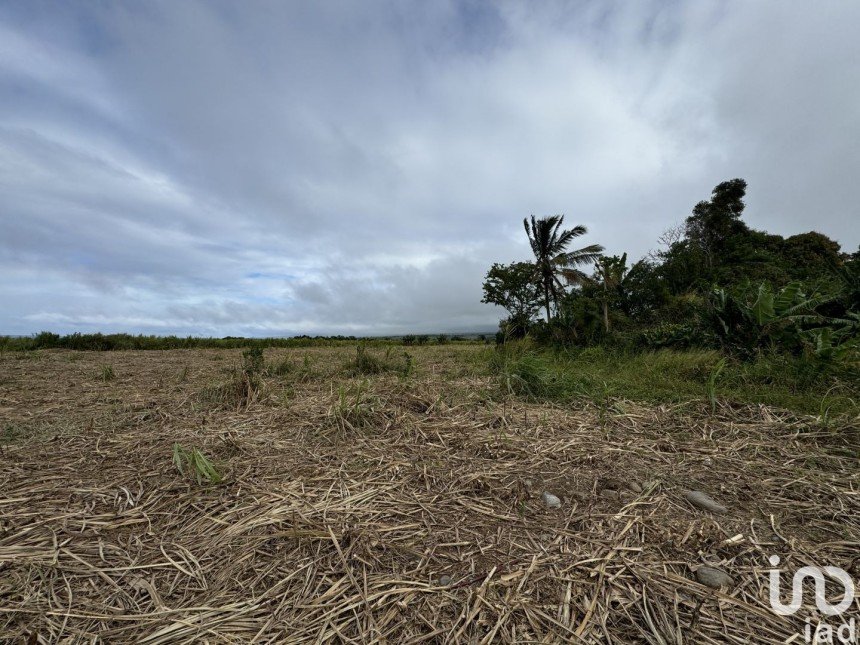 Terrain de 524 m² à Bras-Panon (97412)