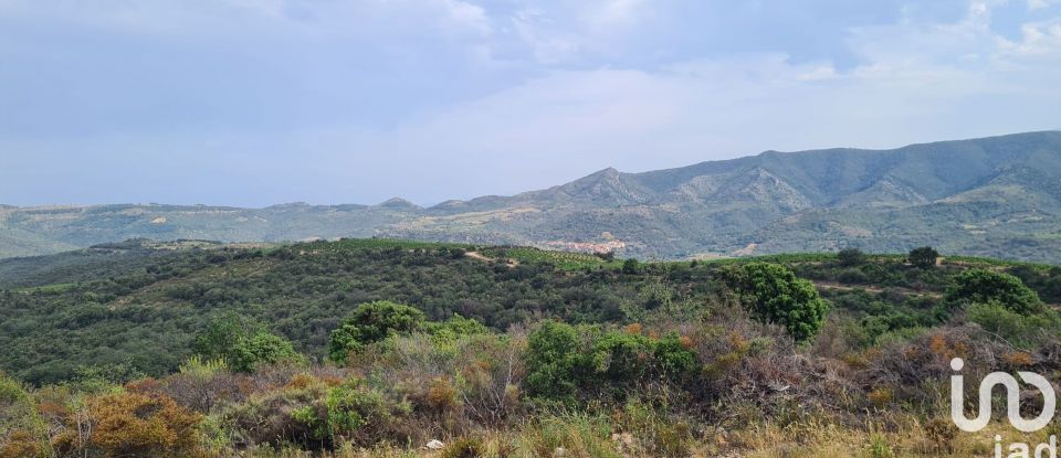 Land of 29,130 m² in Lansac (66720)