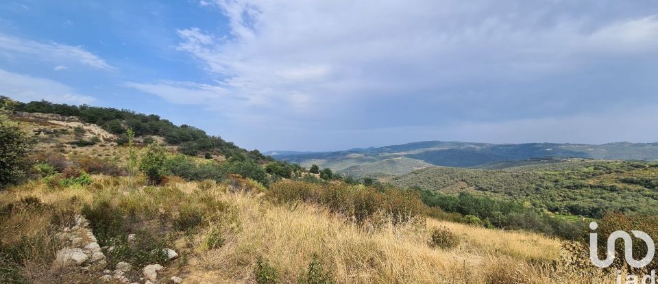 Land of 29,130 m² in Lansac (66720)