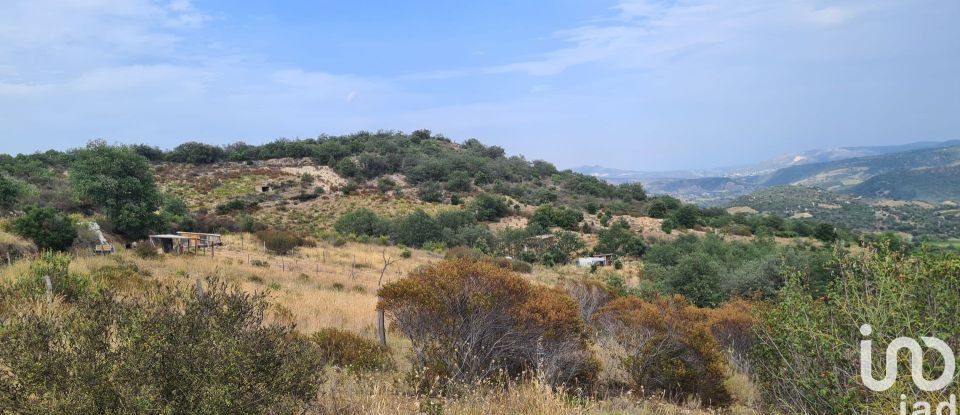 Land of 29,130 m² in Lansac (66720)