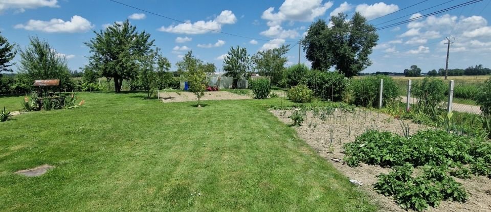 Ferme 7 pièces de 180 m² à Champignelles (89350)