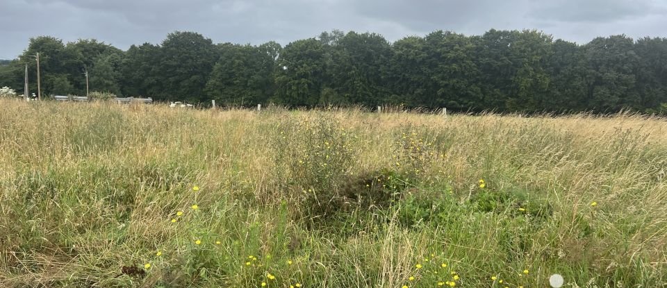 Terrain de 1 000 m² à Gruchet-le-Valasse (76210)