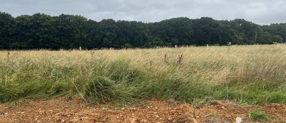 Terrain de 1 000 m² à Gruchet-le-Valasse (76210)