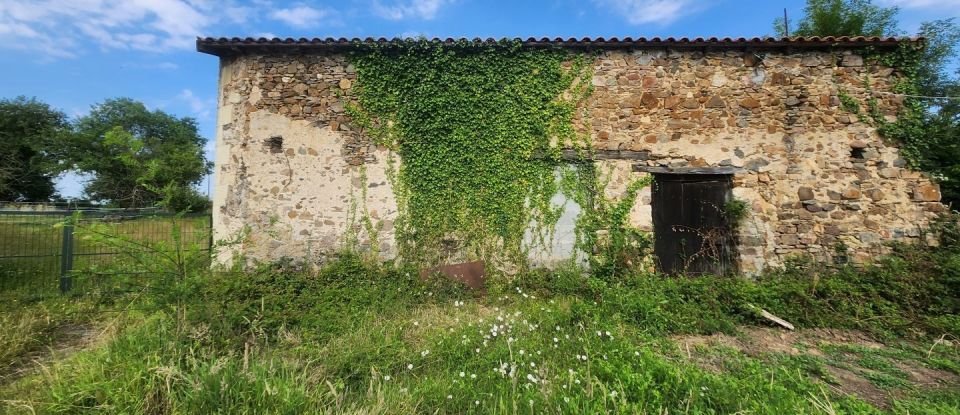 Maison de campagne 3 pièces de 118 m² à Bouillé-Saint-Paul (79290)